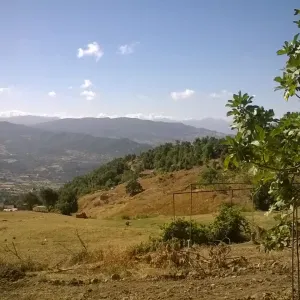 Aide aux personnes âgées