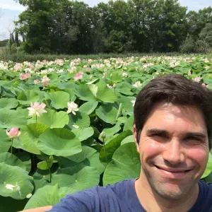 Courses, Lessive, Ménage, Repas (Mougins)