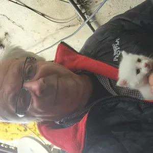 Garde chiens avec envirronement favorable