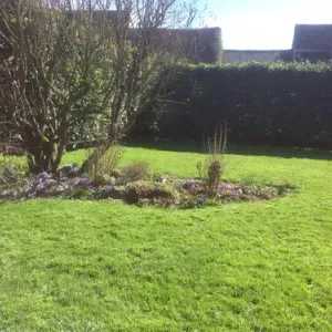 Pension pour petits et moyens chiens