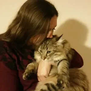 Baby-sitting ponctuel