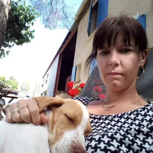 lingerie repassage / aide menagere