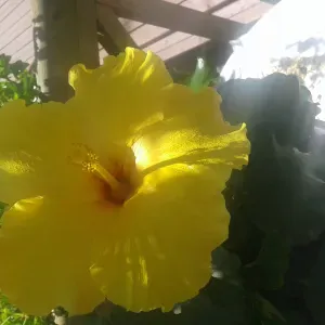 Recherche des heures en auxiliaire de vie.